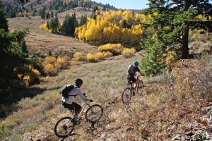 Riders in Imperial Gulch