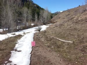 The Old Adams Gulch Road Trail #146 is closed above its intersection with Lane's Trail.