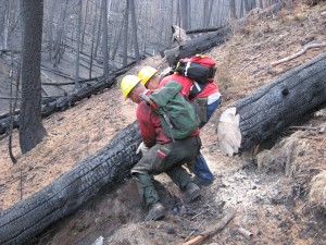 Forest Service sawyers cutting out Lodgepole Tr.