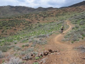 Some trails are open. Visit trails.bcrd.org for the latest info.