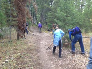 Volunteers work on Shadyside Trail.