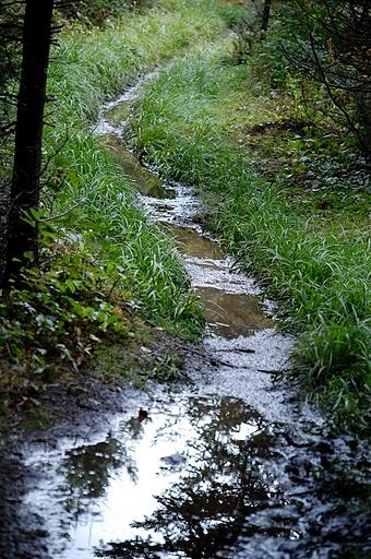 Many area trails remain temporarily closed due to wet conditions.