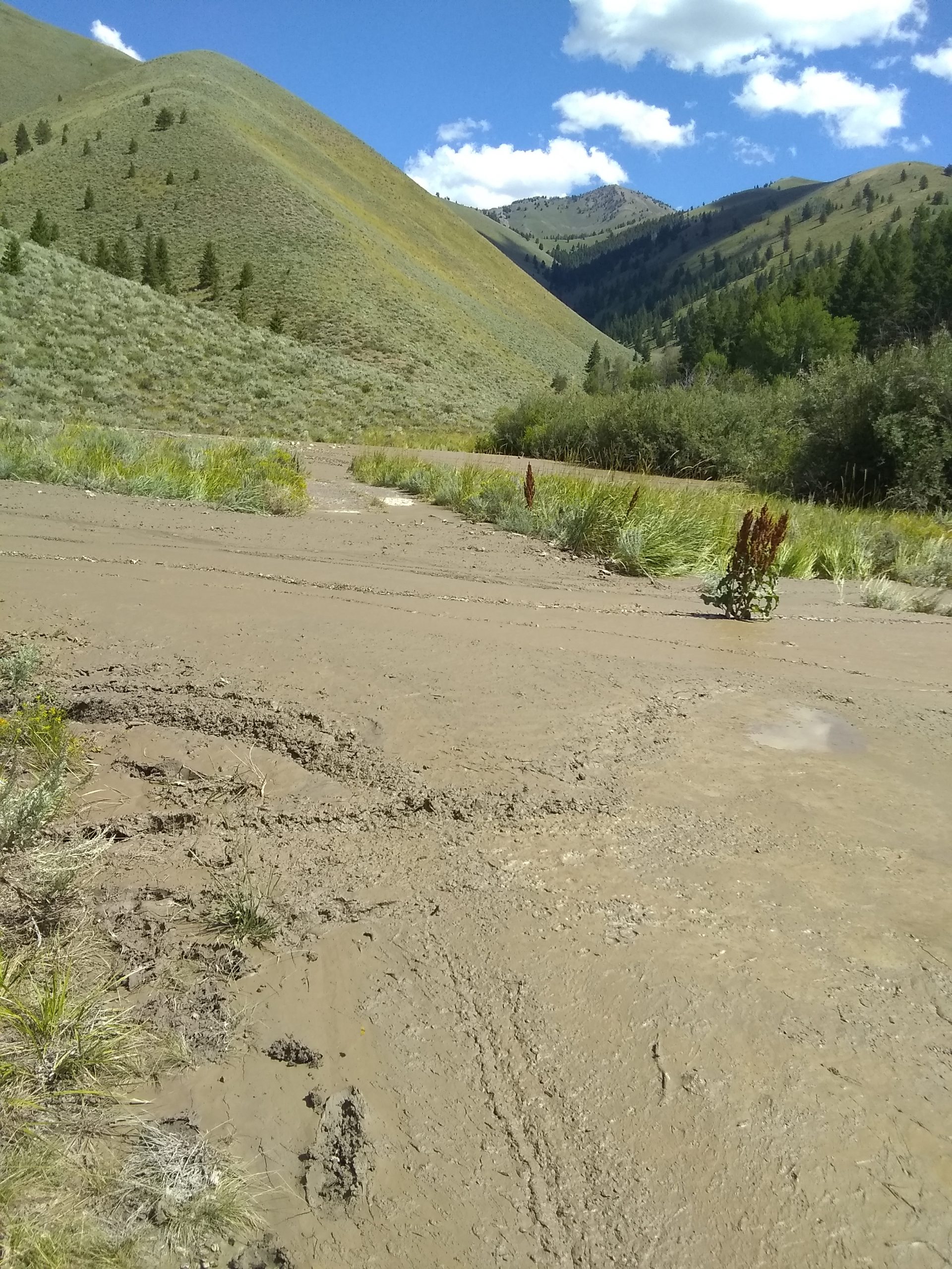 BCRD trail update Friday, August 25, 2023